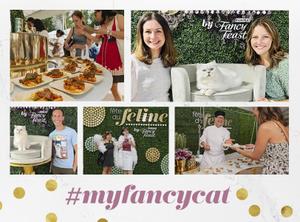 A collage of people and their cats using photos taken at fete du feline