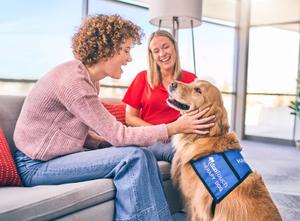 Sesión de Salud Mental con Golden Retriever