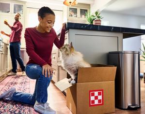 A cat plays with a cardboard box while its owner happily watches.