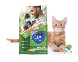 An orange tabby cat lays next to a green ball of yarn and a Bag of Purina Cat Chow Indoor Dry Cat Food