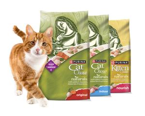 An orange and white cat stands next to a lineup of Purina Cat Chow Naturals Cat Food bags