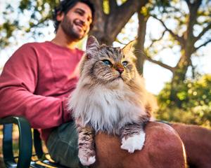 A smiling man sits outside with a fluffy cat on his lap.