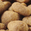 croquetas-de-pavo-avena-para-adultos-piel-y-estómago-sensibles-pro-plan-focus