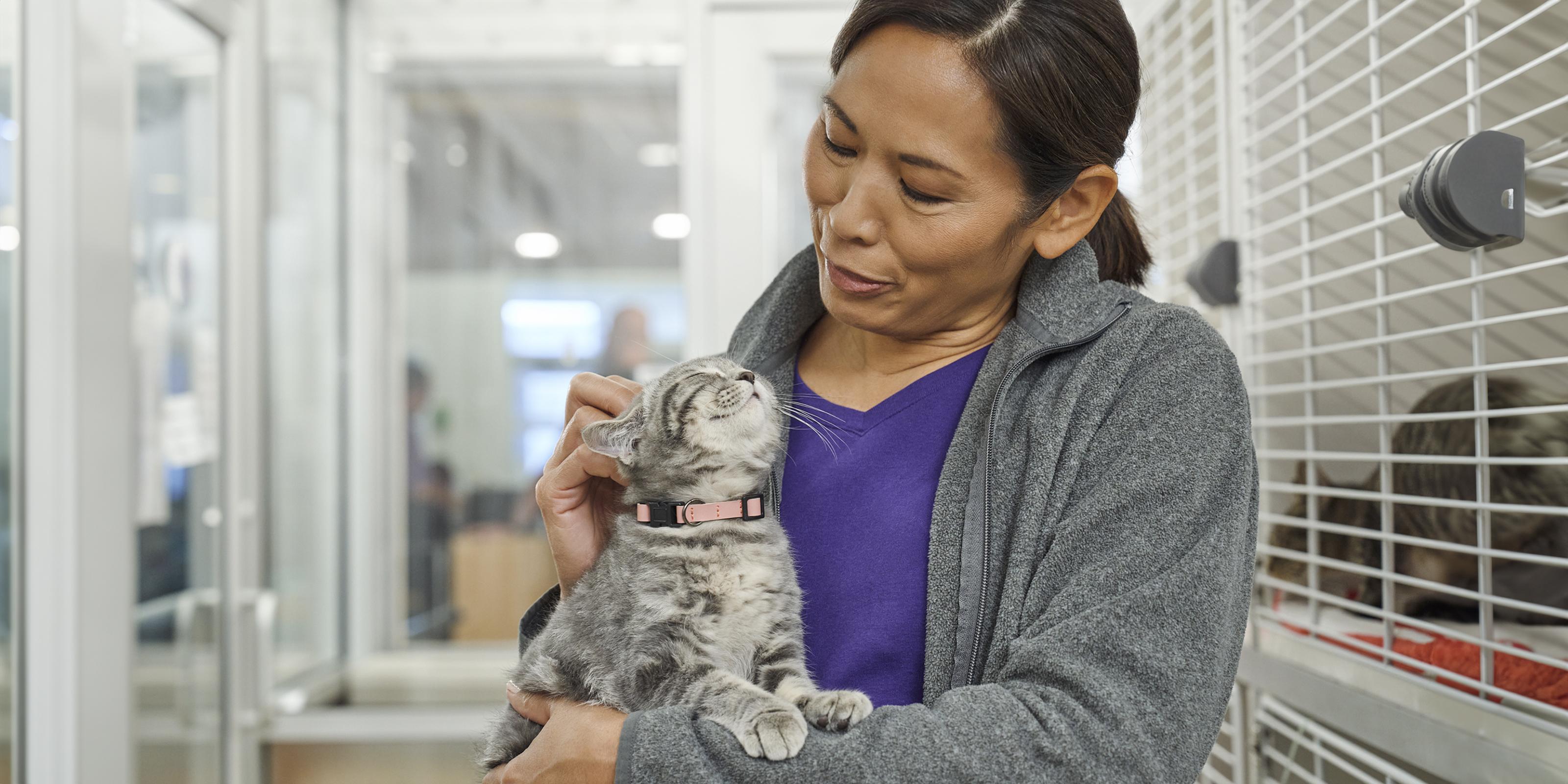 Cat Years Calculator How Old is my Cat in Human Years? Purina US