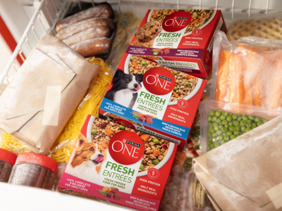 Boxes of Purina ONE fresh dog food stored inside a freezer.