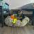 space to heal and bond, dog on pet bed