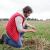 Team member in a field representing environmental responsibility throughout the supply chain.