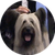 Charlie