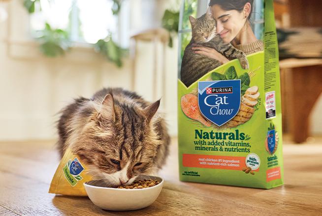 Chowder Nature Cat Cat Chow Naturals | Purina US
