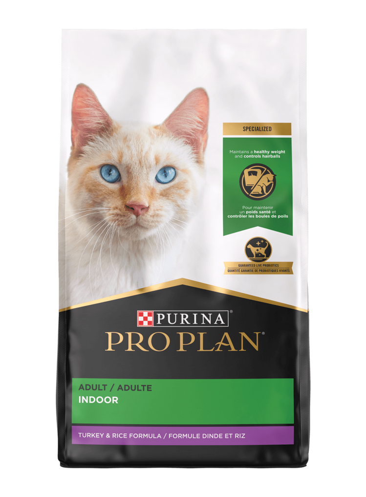 How to Treat Adult Cat That'S Throwing Up Food: Expert Tips