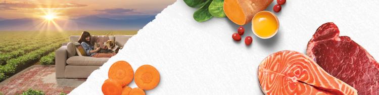 woman with pets on couch