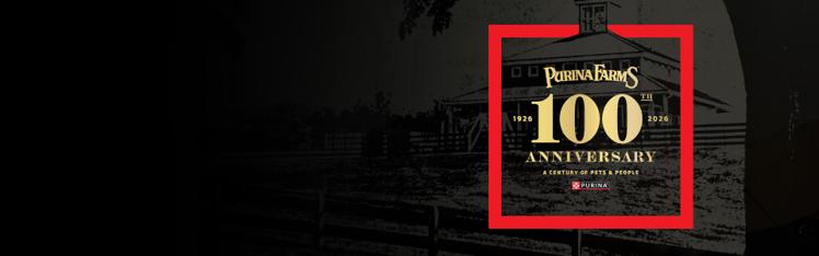 Un siglo de mascotas y personas