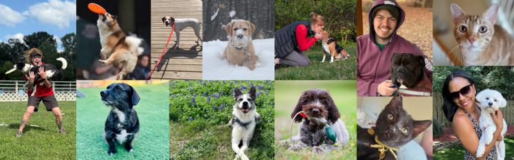 dogs and cats with people