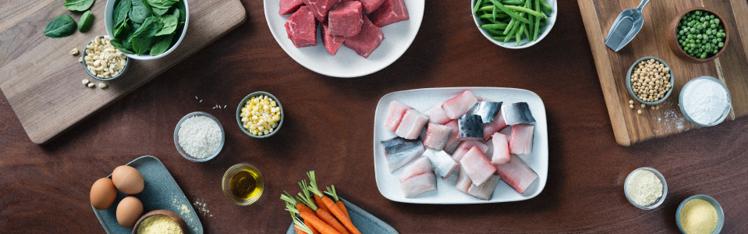 Ingredientes de alimentos para mascotas, incluidos pescado, carne de res, espinacas, ejotes, zanahorias, huevos y chícharos, dispuestos sobre una superficie.