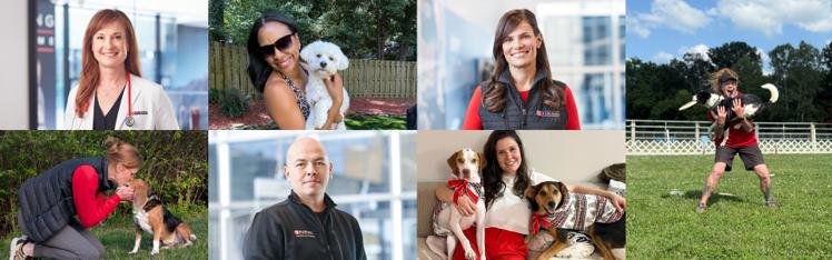 Collage of pet nutrition experts, veterinarians, researchers, and pets