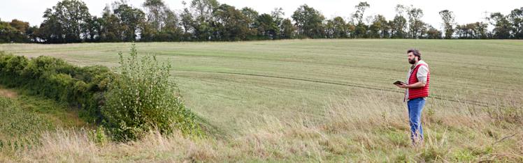 Team member standing in a grain field, representing responsible ingredient sourcing and supplier oversight.