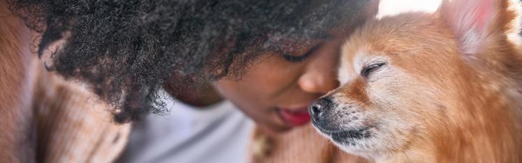 Person embracing senior dog
