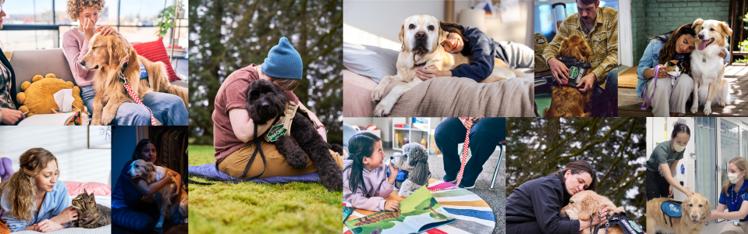 Collage of people interacting with dogs and cats.