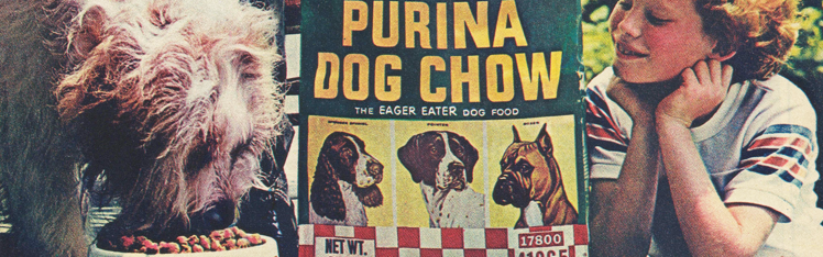 retro picture of young boy with red hair smiling while watching dog eat Purina Dog Chow out of his bowl