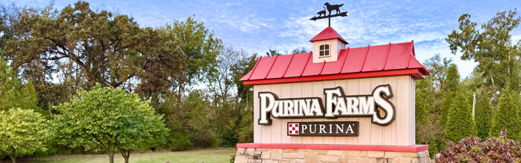 Play. Learn. Compete.