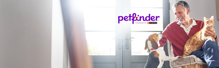 Petfinder powered by Purina logo above a person seated at home with a beagle and an orange tabby cat.