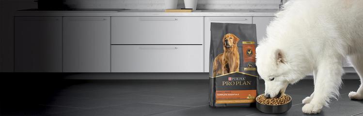 Pro Plan Dry Dog Food Hero Banner