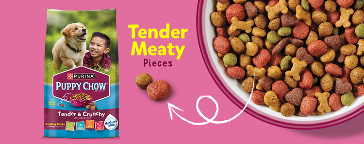 bowl of kibble next to Purina Puppy Chow Tender & Crunchy dog food bag
