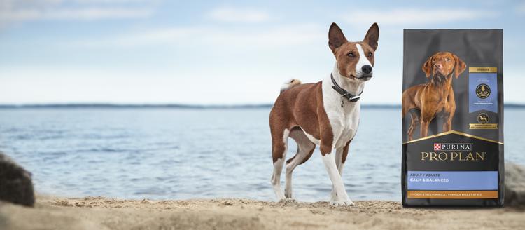 Pro Plan Calm and Balanced Dog Food Hero Banner