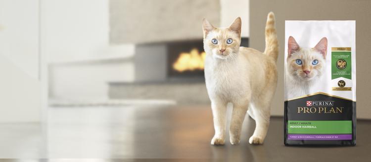 Purina Pro Plan Indoor Cat Food Hero Banner