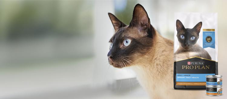 uth cat food banner