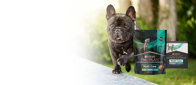 A dog jumping in yard next to packages of Pro Plan Veterinary Supplements Multi Care Canine and Feline packages