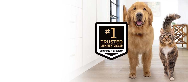 A dog and cat walking in a home with a #1 trusted supplements brand callout