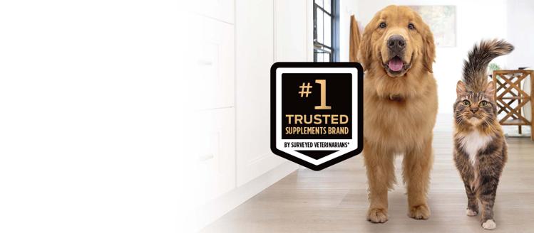 Un perro y un gato caminando en un hogar con un llamado a la marca de suplementos de confianza número 1.
