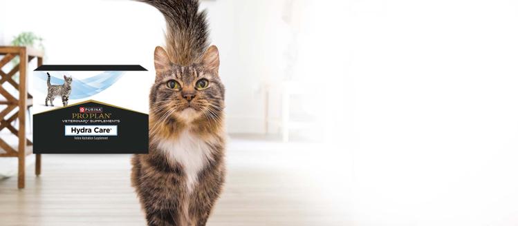 Un gato caminando en una casa al lado de un paquete de Pro Plan Veterinary Supplements Hydra Care