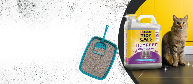 Tidy Feet, Clean Home