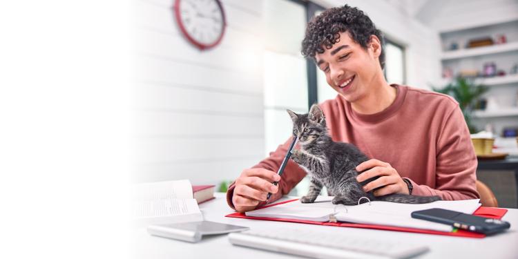 Un estudiante acariciando a un gatito sentado en un escritorio jugando con un bolígrafo