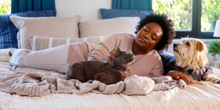 woman laying on bed next to dog and petting a gray cat