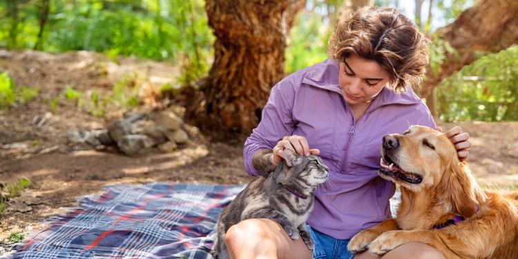 Woman in purple shirt petting a dog and a cat while sitting on a picnic blanket