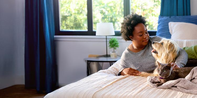 woman laying on bed and looking at her dog and gray cat
