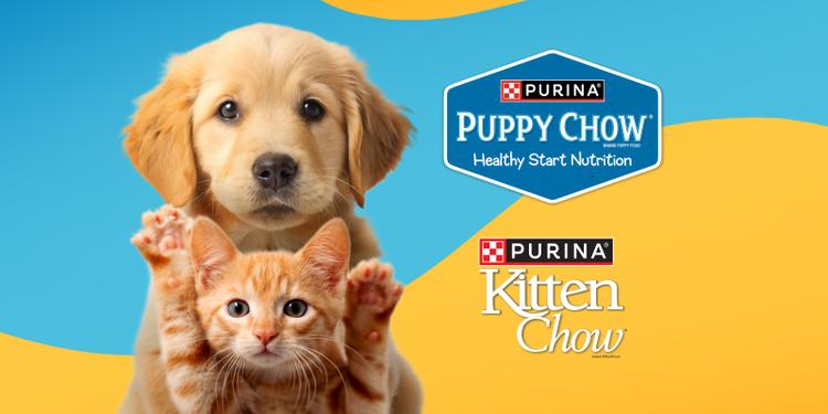 A golden retriever puppy and an orange tabby kitten playfully look into the camera infront of a blue and yellow swirled background. The Purina Puppy Chow and Kitten Chow logo sit to their right