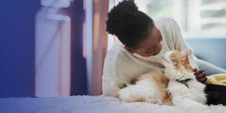 A woman is nose to nose with a fluffy orange and white cat in a blue room
