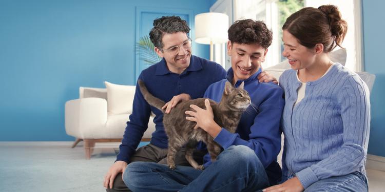 A man, woman, and teenage boy sit in a blue living room setting smiling at a grey striped cat