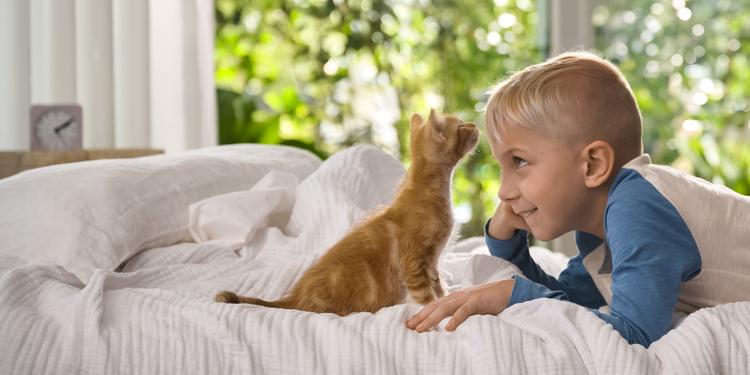 kitten_chow_homepage_boy_kitten