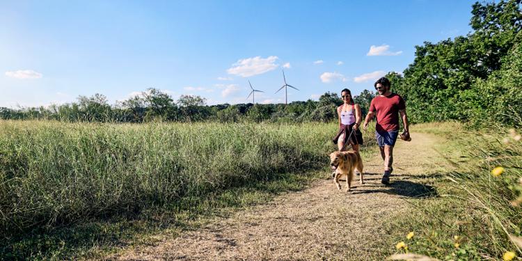 A woman and man walk their dog on a nature trail on a sunny day.