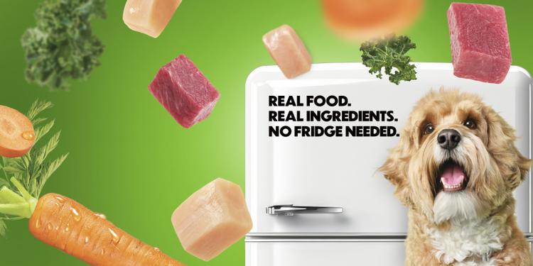 dog in front of fridge watching ingredients falling from above.