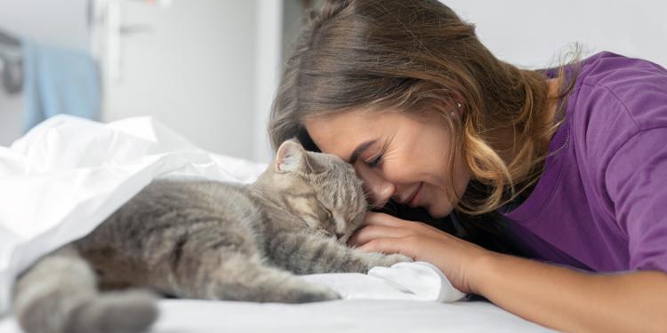 A person nuzzling their cat.