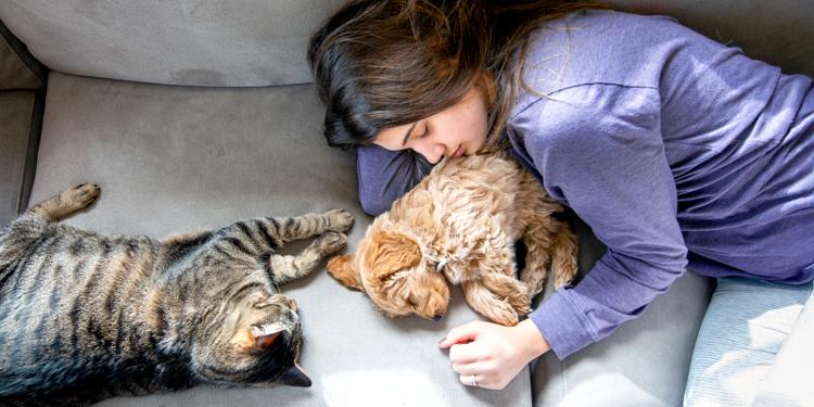 mujer acostada en la cama junto a un perro acariciando a un gato gris