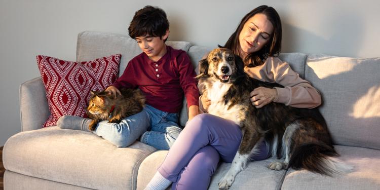 Mujer y niño sentados en un sofá con un perro y un gato.