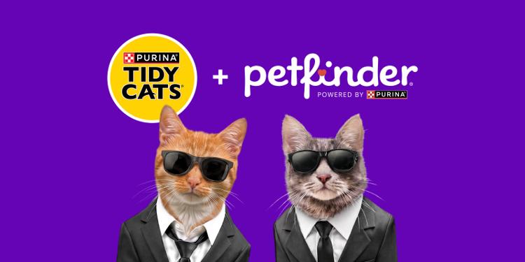 Purina Tidy Cats and Petfinder partnership graphic featuring two cats in sunglasses against a purple background.