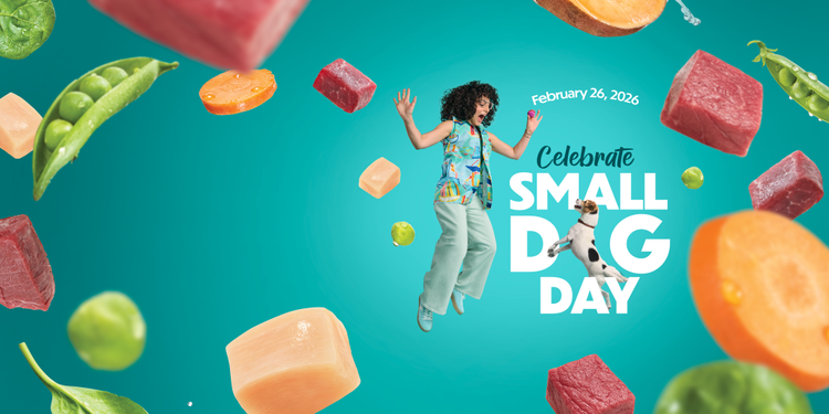 Celebrate Small Dog Day - Person and dog jumping with whole ingredients falling around
